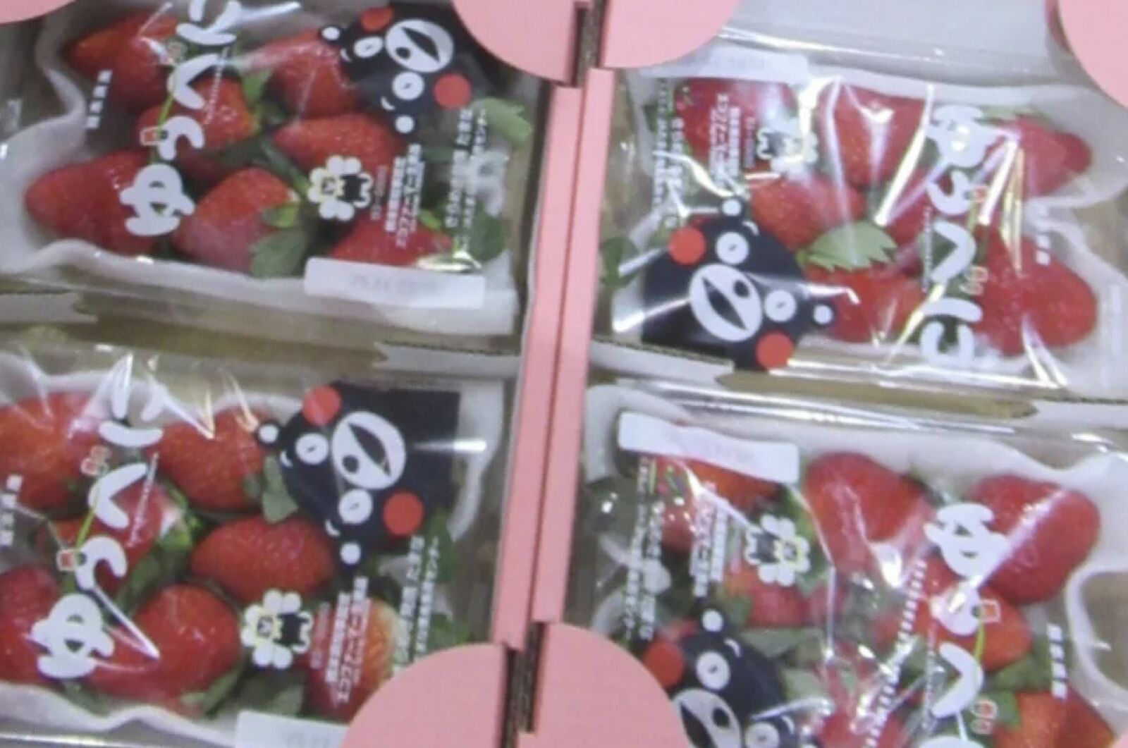 日本草莓屢超標「卡關」解套了！   食藥署長證實：最快二周內預告解禁農藥