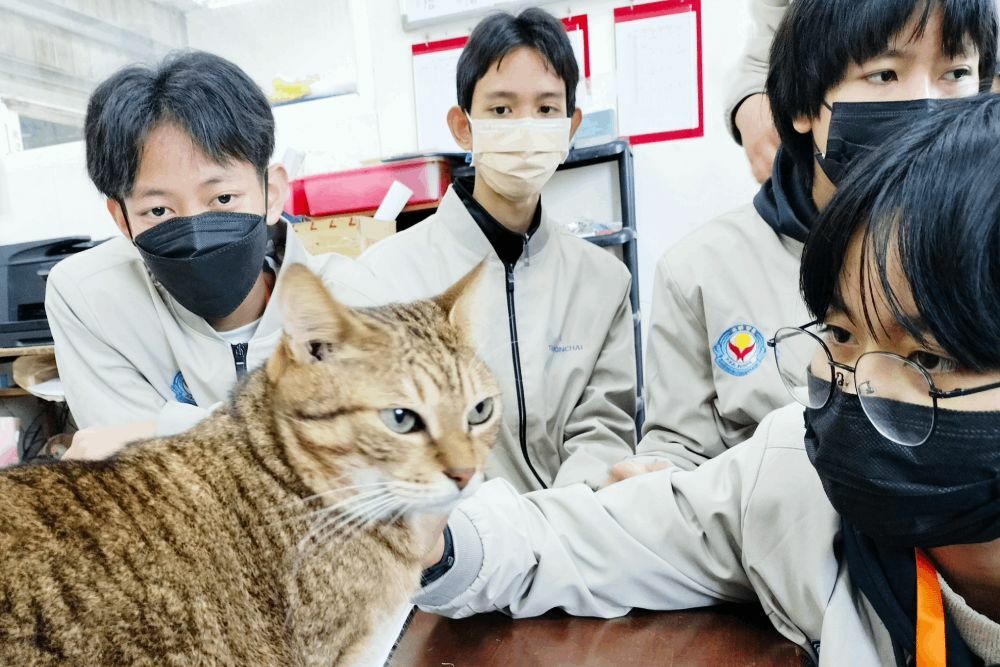 泰國學童參訪新北動物之家 台灣毛寶貝化身外交大使