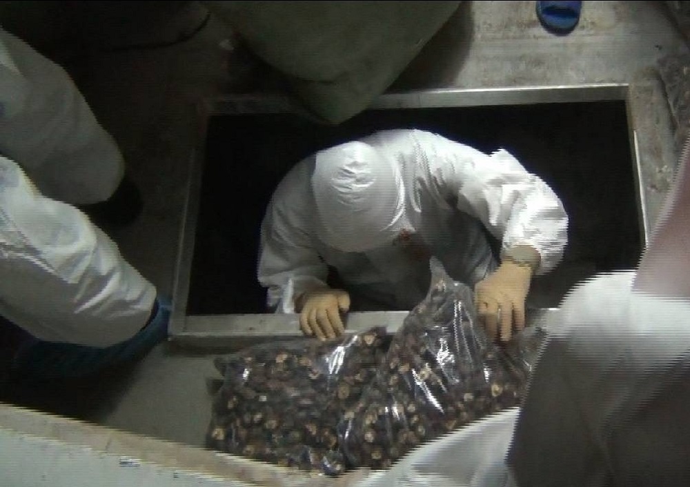 泊地小船涉走私中國香菇　金門海巡查獲逾八百公斤逮五人 305
