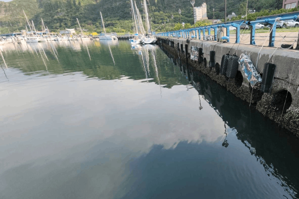 工廠污水致八斗子遊艇港水質惡化 謝國樑：清查暗管、溯源 251
