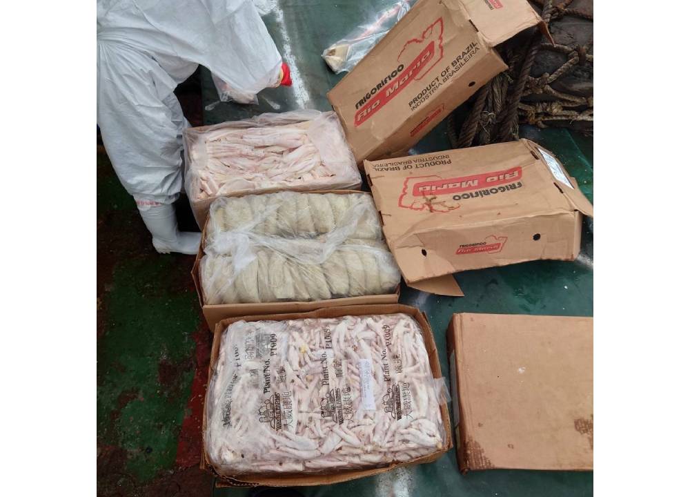 中國鐵殼漁船走私畜產品　 馬祖海巡逮三人起獲56公噸牛肚雞爪 293