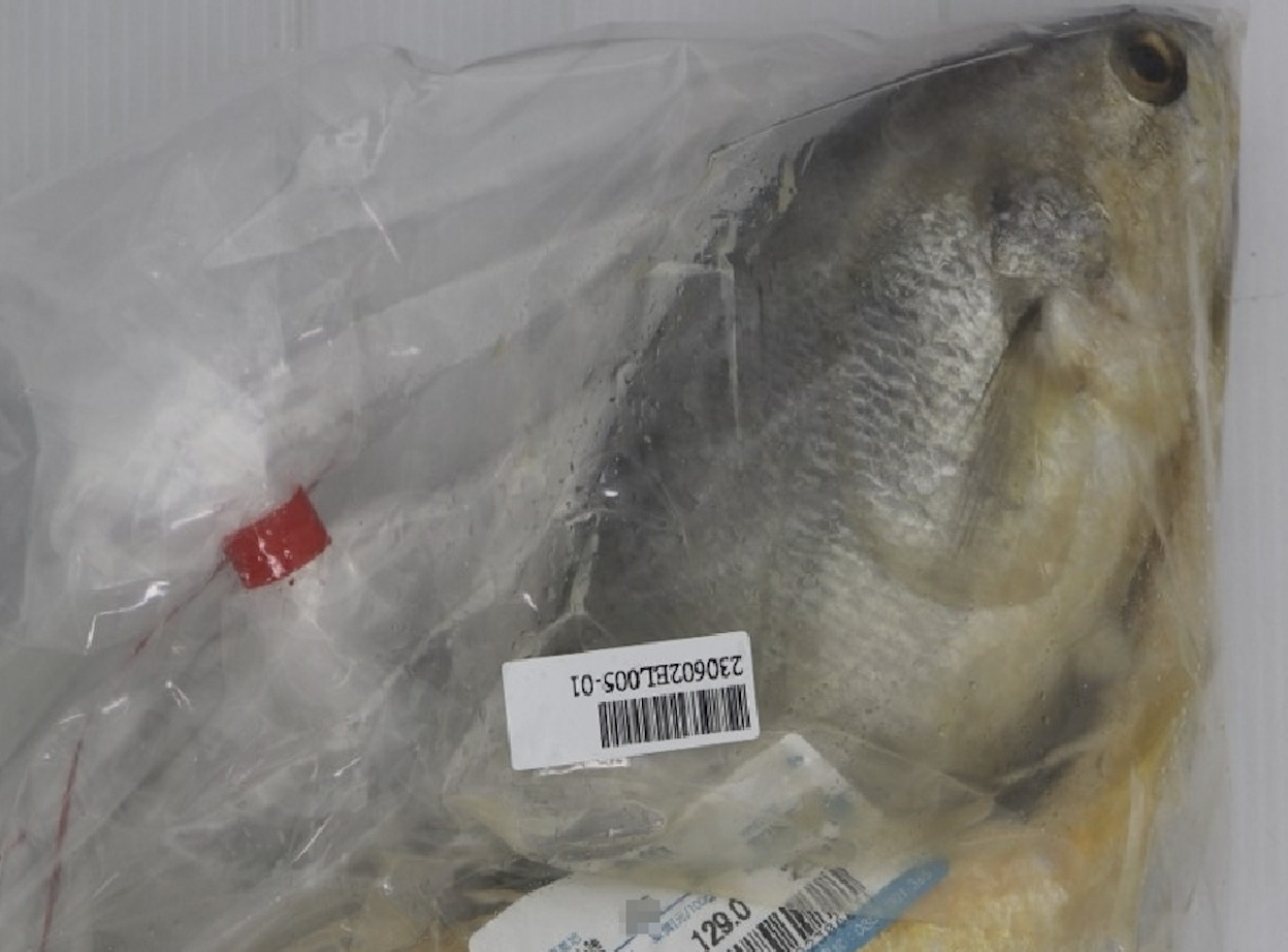 中國「黃魚」驗出禁藥！過量恐傷腎 家樂福、大潤發都有賣 15