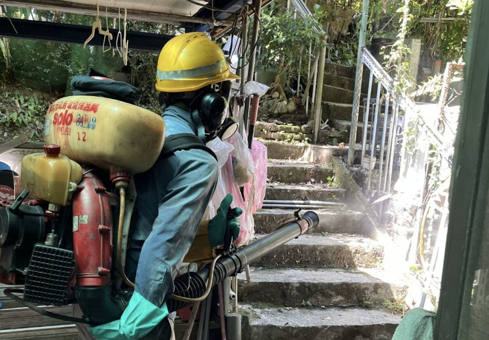 北市第二例登革熱「文山區淪陷」 沒去過中南部！他胸悶、嘔吐確診 283