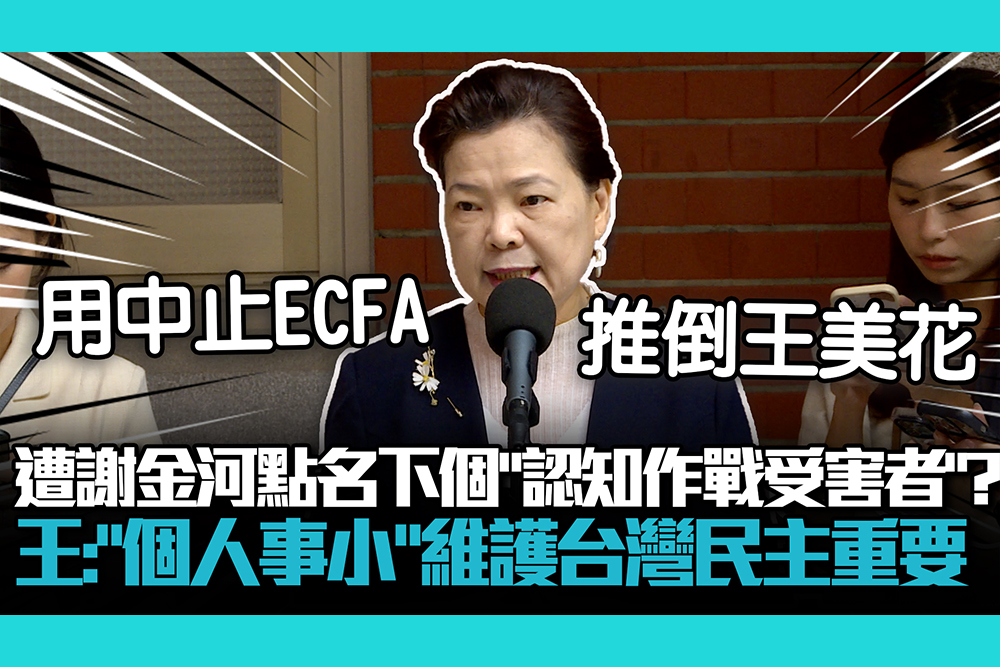 【CNEWS】遭謝金河點名下個「認知作戰受害者」？王美花：「個人事小」維護台灣民主重要