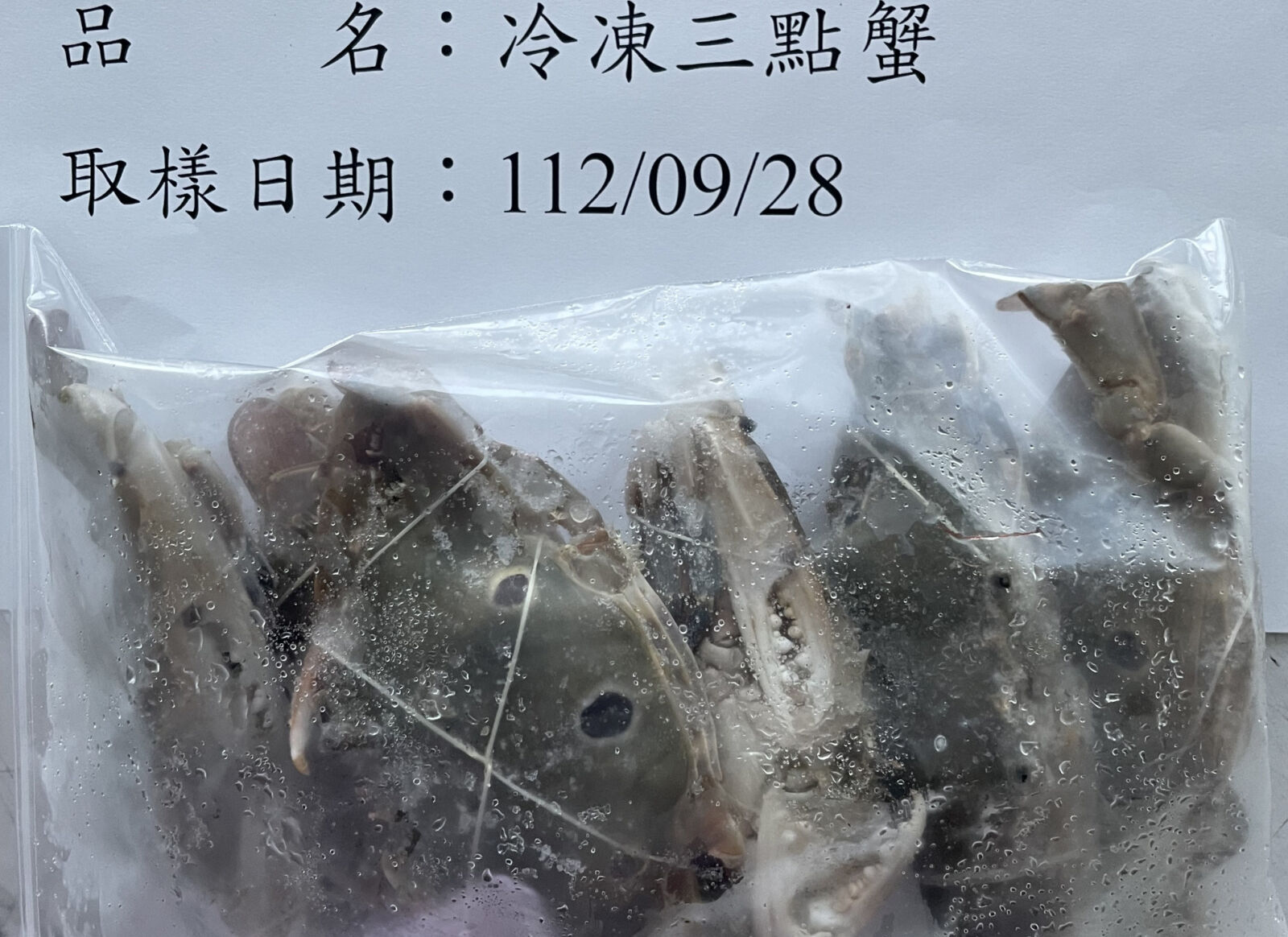 秋蟹變毒蟹 進口「三點蟹」爆2312公斤重金屬鎘超標！食藥署攔下 9