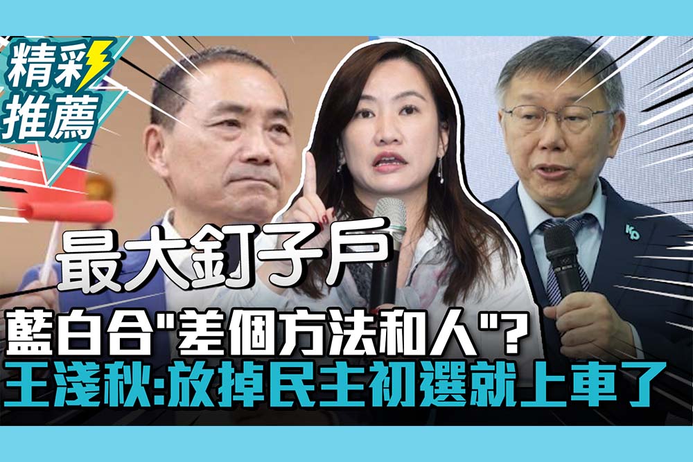 【CNEWS】藍白合「差個方法和人」？王淺秋：放掉民主初選就上車了