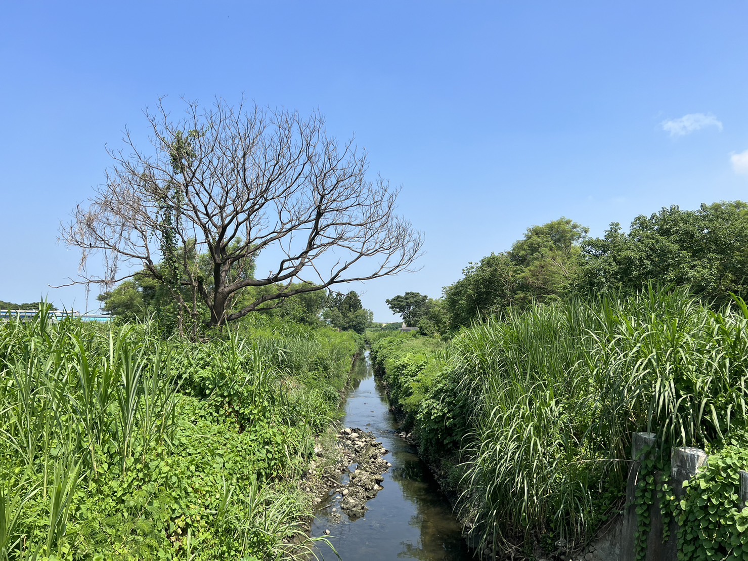 優化海埔排水系統 南市府打造防洪、交通與生態三贏整治建設 11