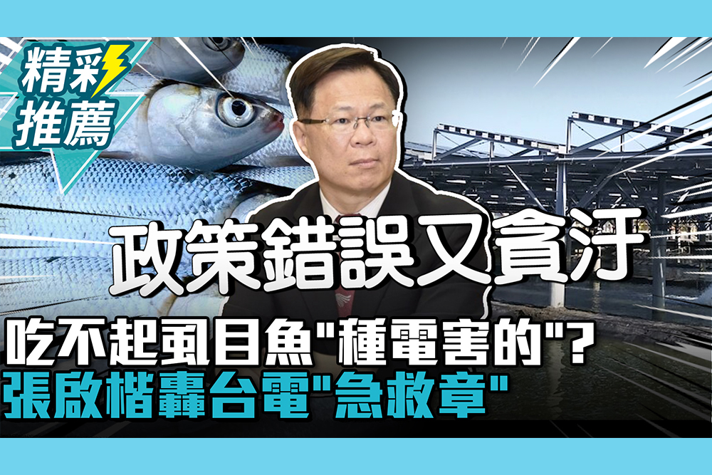 【CNEWS】吃不起虱目魚「種電害的」？張啟楷轟台電「急救章」：錯誤的政策又貪汙 1