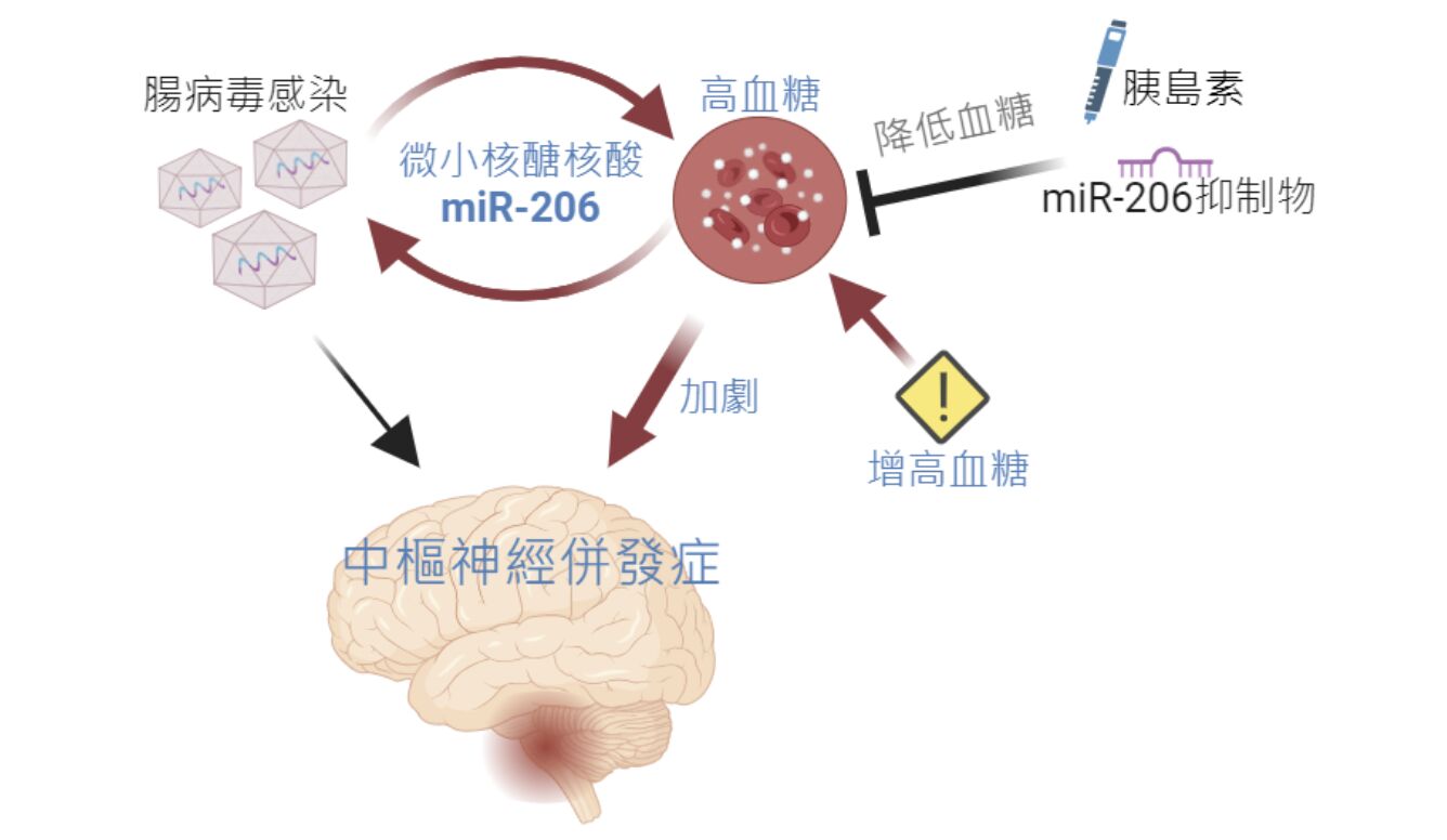 染腸病毒別給「糖」吃！國衛院發現重症原因 布丁、果凍成危險食物 11