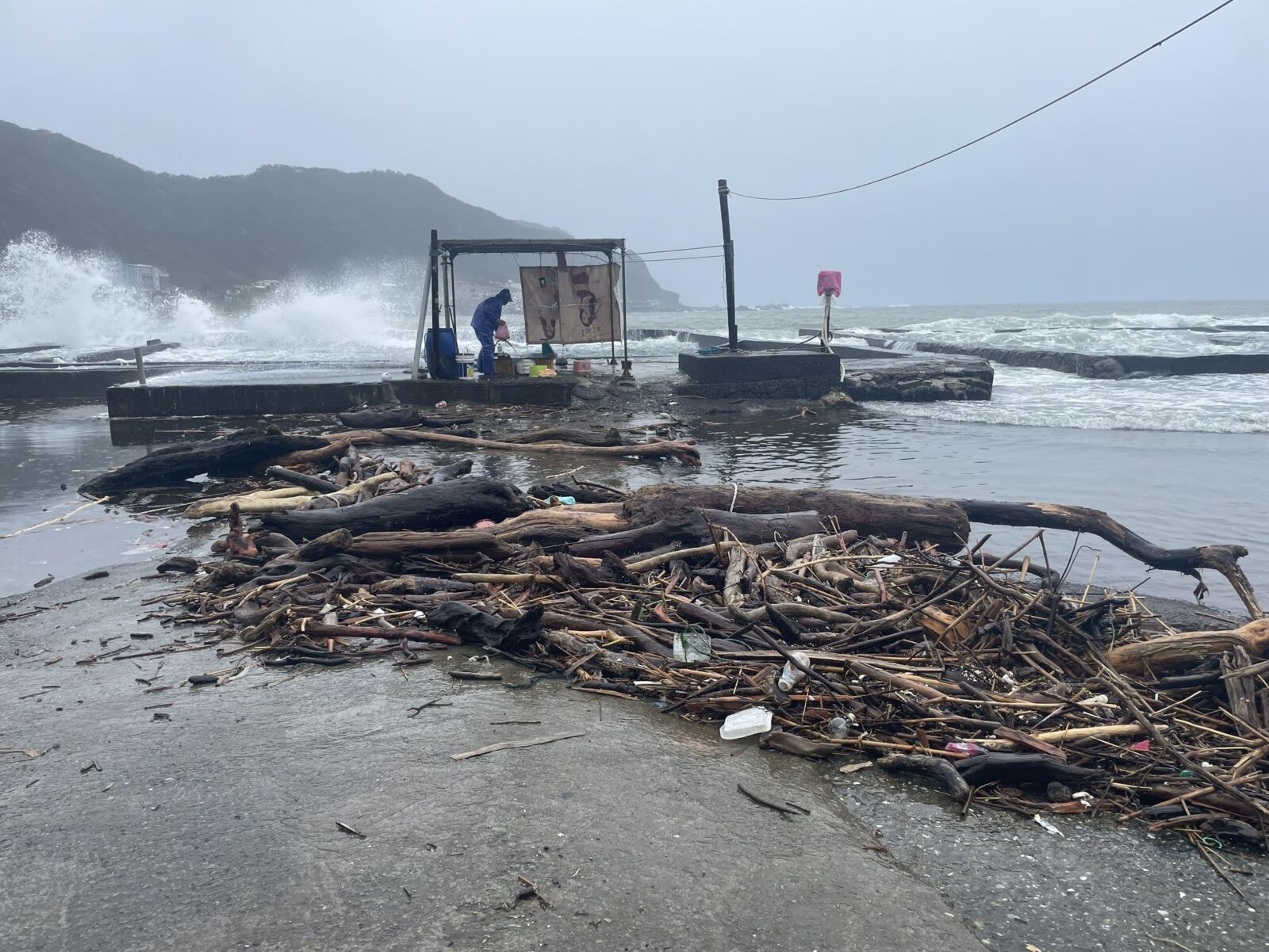 【九孔浩劫2-1】東北角養殖場遭漂流木佔據　業者盼「兩署」統籌助困境 27