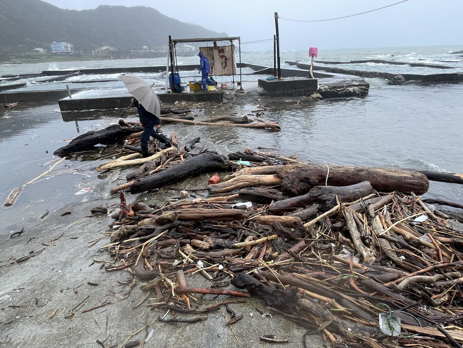 【九孔浩劫2-2】靠鮑魚養全家　年產250公噸產值2億元 15