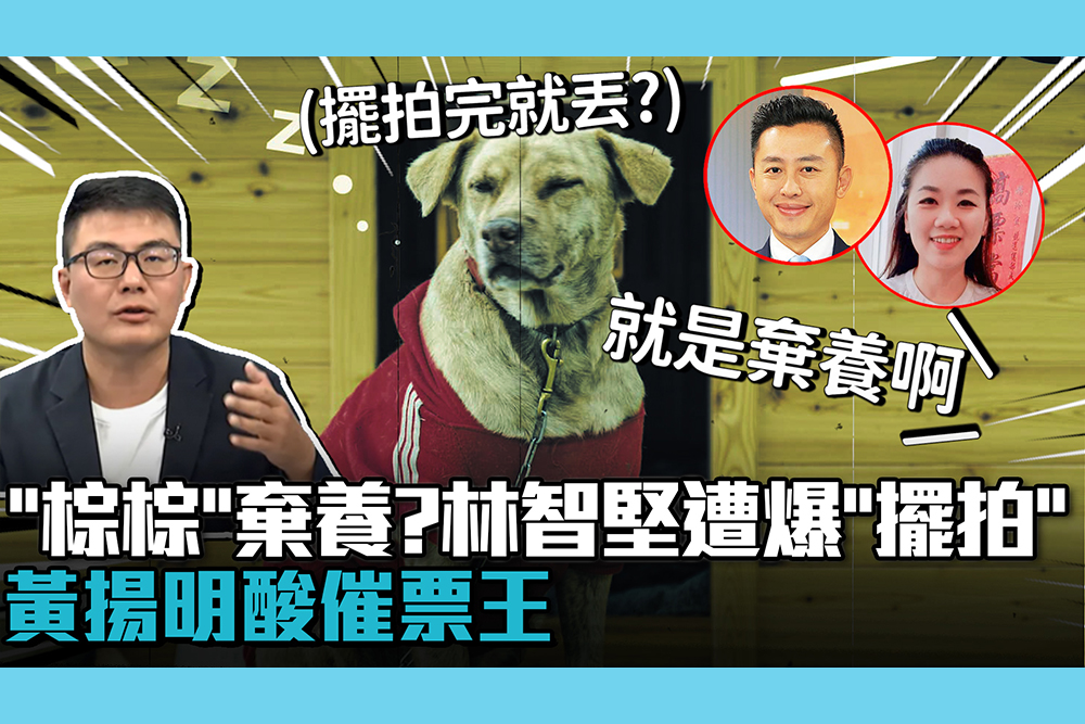 【CNEWS】「市犬棕棕」是安置非棄養？林智堅遭爆「擺拍」！黃揚明酸催票王