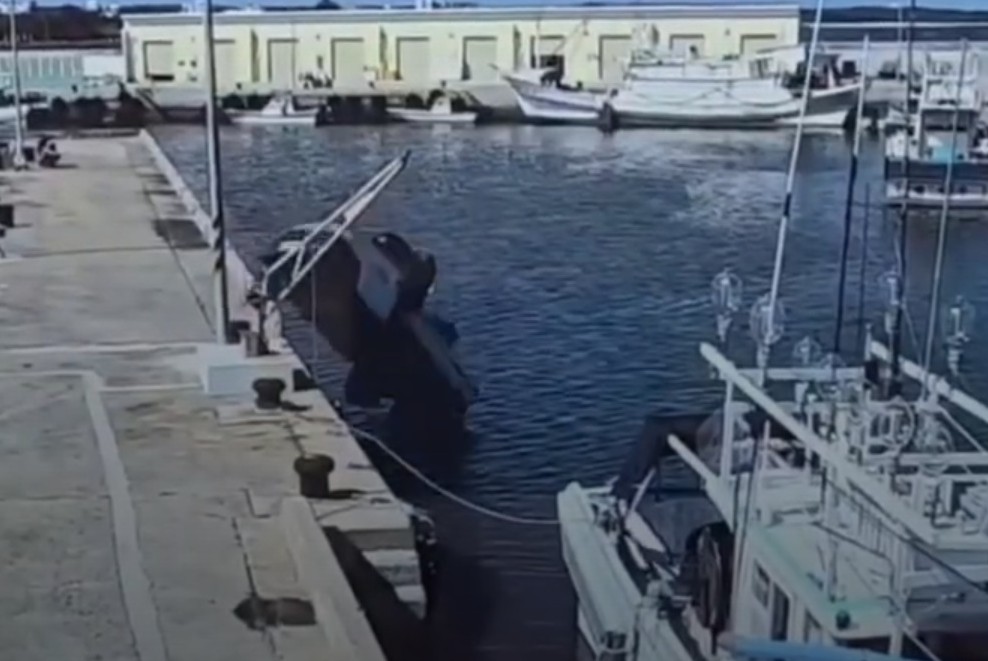 開車不慎衝下海 海巡員潛水即刻救援女駕駛 開車不慎衝下海 海巡員潛水即刻救援女駕駛