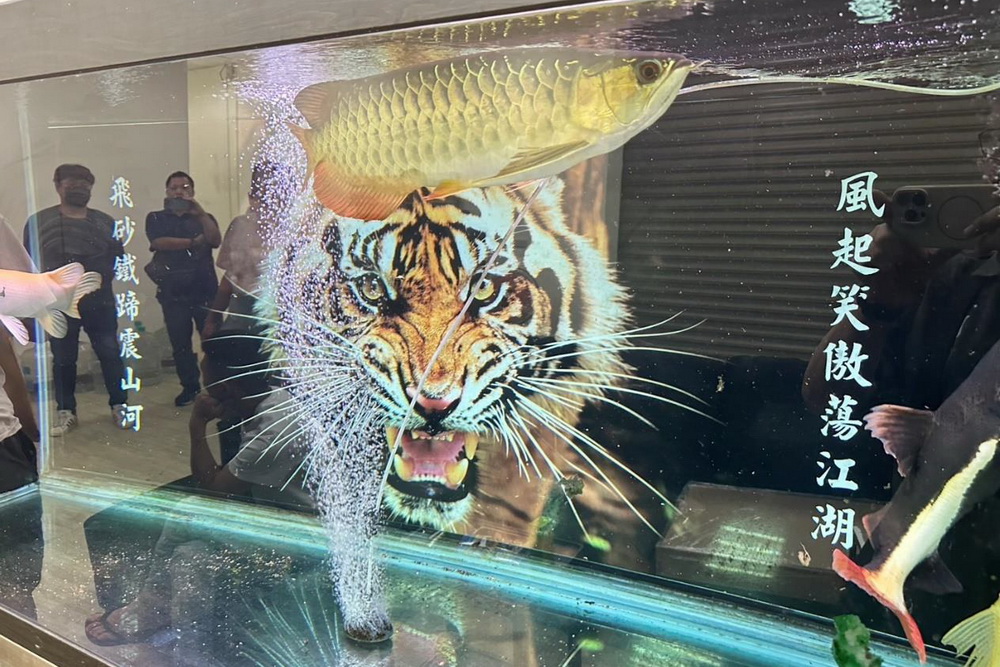 兩岸共打破黑幫跨國「老虎機房」詐團 竹檢起訴27成員求重刑 兩岸共打破黑幫跨國「老虎機房」詐團 竹檢起訴27成員求重刑