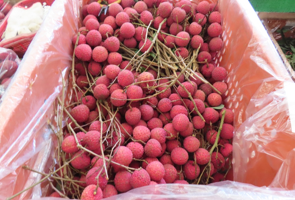 新北抽驗中元節應景食品97件 桂味荔枝檢出農藥殘留 新北抽驗中元節應景食品97件 桂味荔枝檢出農藥殘留