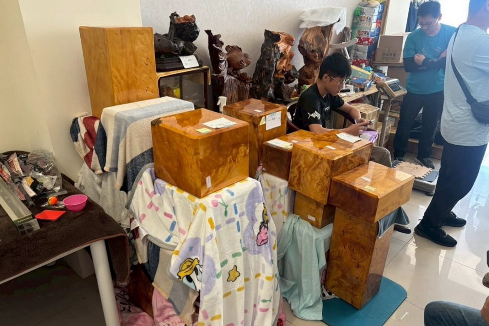 高山神木直接肢解枯死　投檢起訴5越籍山老鼠 15