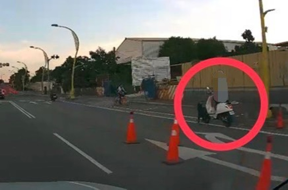 犬隻突衝車道 電動車騎士犁田擦傷警籲確實繫繩 犬隻突衝車道 電動車騎士犁田擦傷警籲確實繫繩