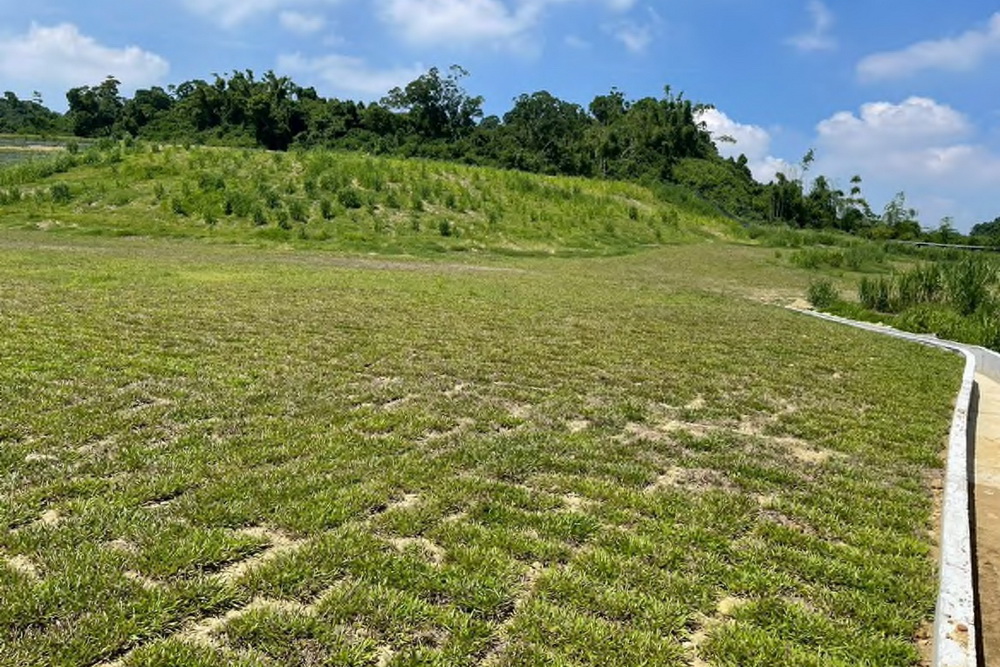 和山光電案濫墾大樹區山坡地 橋檢起訴7人2公司 和山光電案濫墾大樹區山坡地 橋檢起訴7人2公司