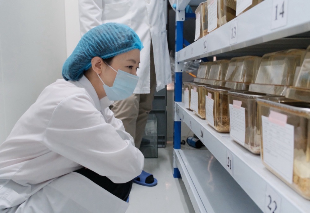 新北動保處嚴查實驗室福祉 確保科研成果人道且精準 新北動保處嚴查實驗室福祉 確保科研成果人道且精準