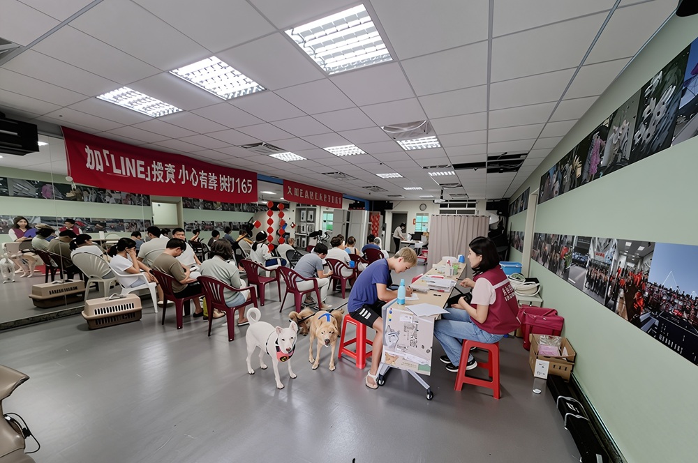 啟動山線偏鄉犬貓絕育3合1 新北守護流浪毛寶貝健康 啟動山線偏鄉犬貓絕育3合1 新北守護流浪毛寶貝健康