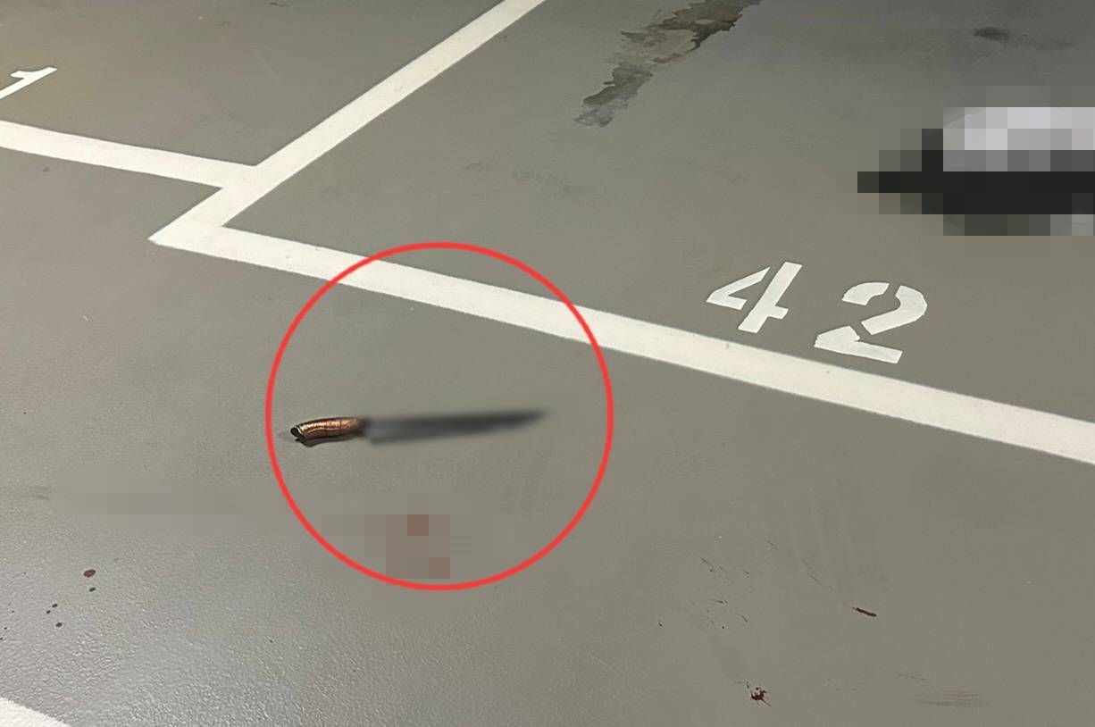 19歲男南港citylink遭砍殺　警逮2刀手：黑吃黑吞贓款「給他教訓」 13