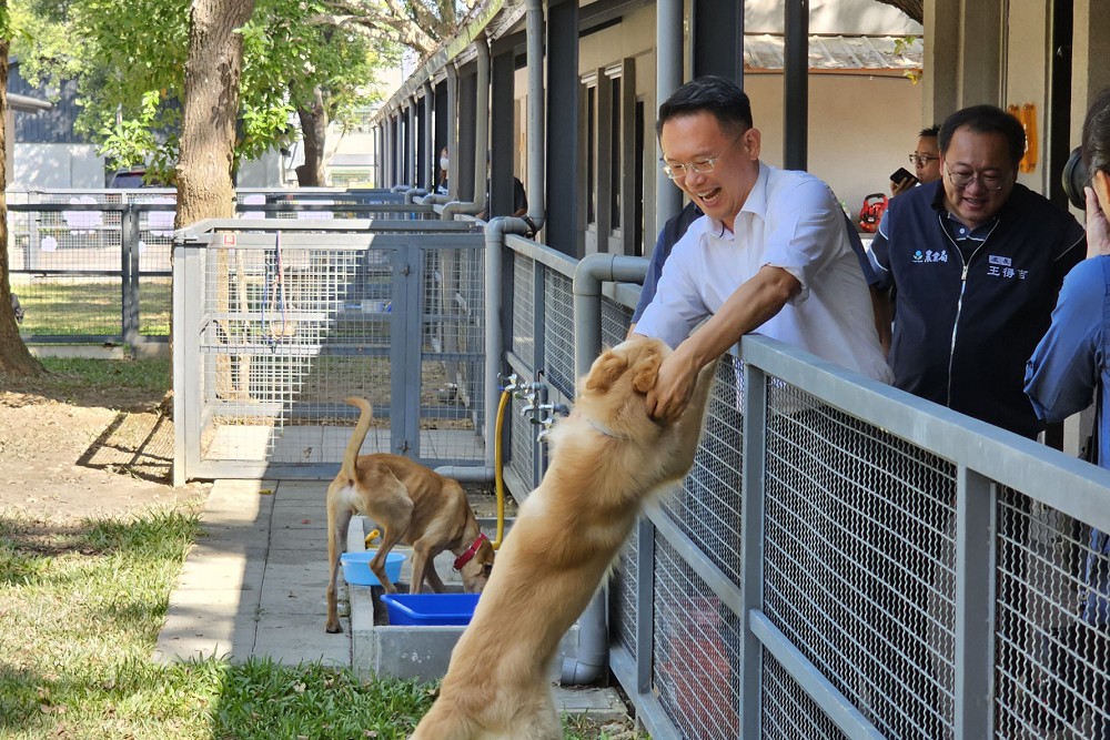 力倡毛孩全生命週期照護　蘇俊賓：打造人寵共融幸福城市 13