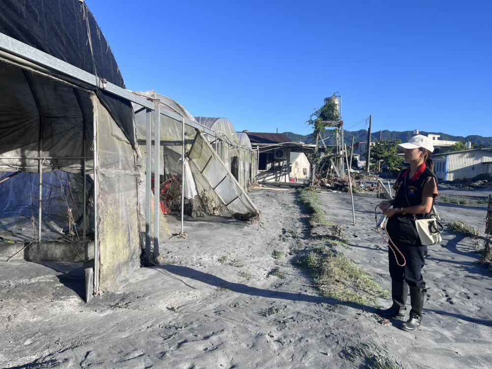 農業部公告花蓮鳳林3地段全品項現金救助　花蓮縣府受理至10/30止 11