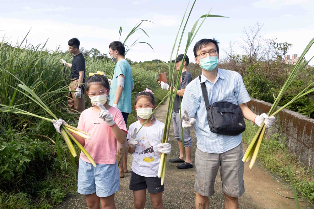 在地料理迎「茭」客 新北三芝茭白筍節下周六登場 在地料理迎「茭」客 新北三芝茭白筍節下周六登場