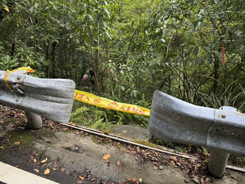 登山意外 1男6女新北坪林踩青遇虎頭蜂攻擊 登山意外 1男6女新北坪林踩青遇虎頭蜂攻擊