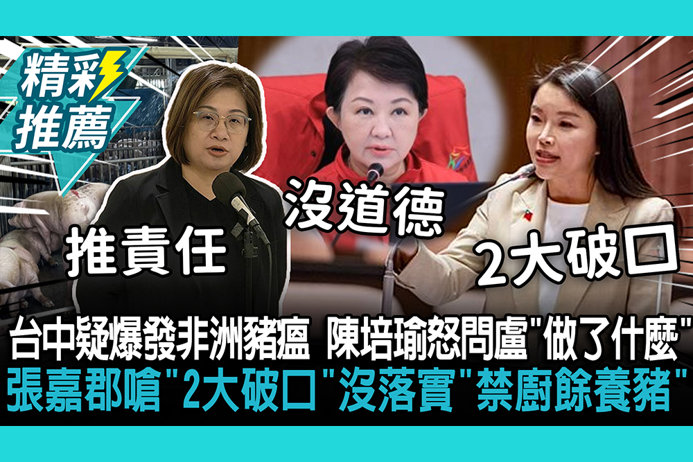 【CNEWS】台中疑爆發非洲豬瘟！陳培瑜怒問盧秀燕「做了什麼」 張嘉郡嗆「2大破口」沒落實「禁廚餘養豬」