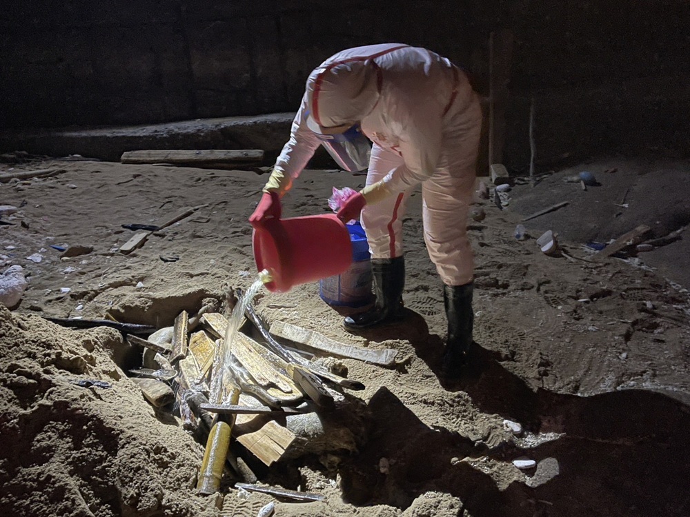 防疫總動員 馬祖北竿驚現海漂豬急採樣焚化 6 cnews204251024a03