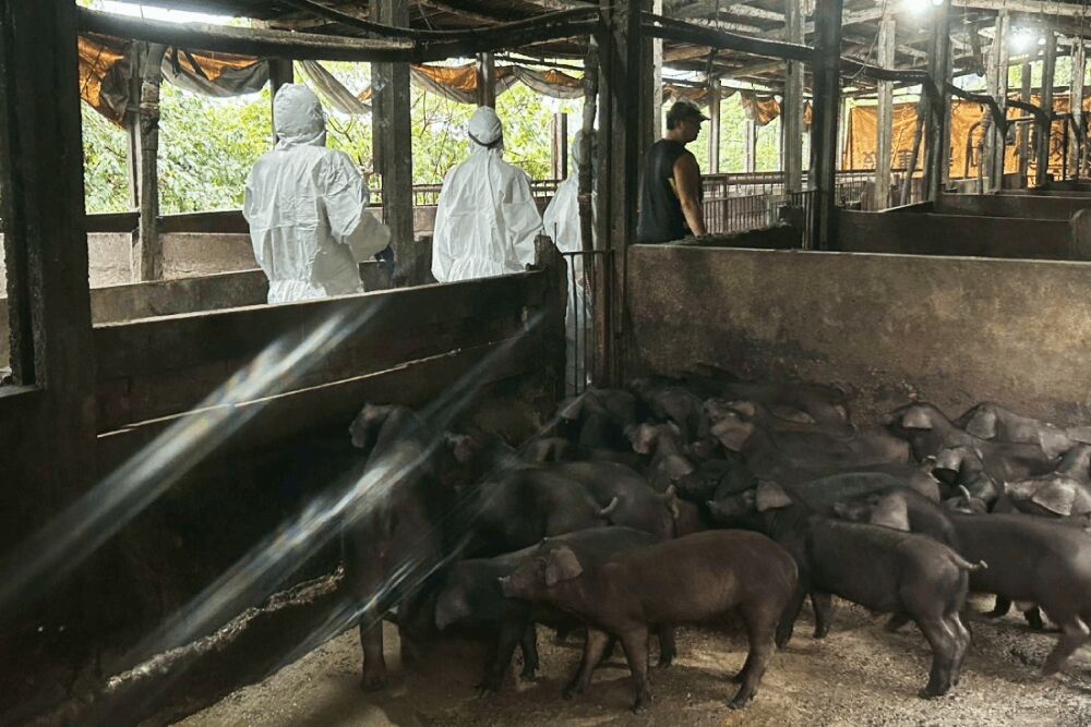 照片來源：新北市政府動物保護防疫處