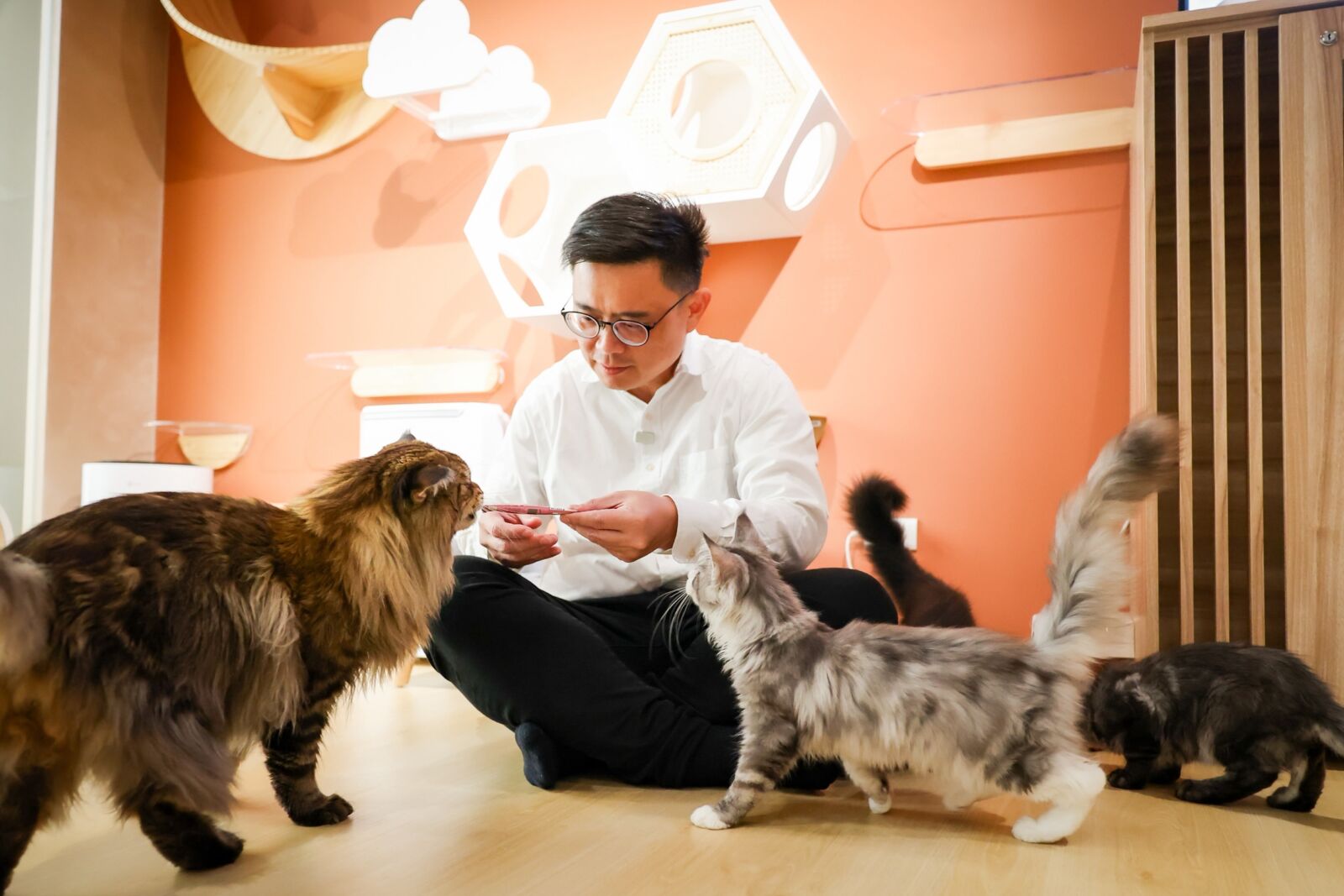 超萌政見！賴瑞隆化身「資深毛爸」　盼打造高雄寵物友善之都 5