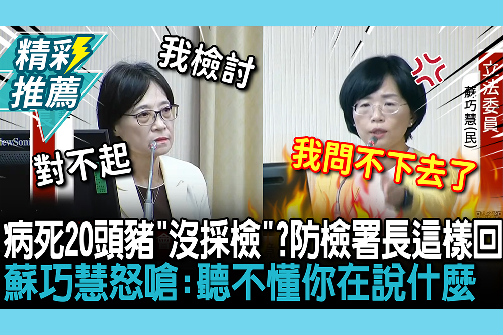 【CNEWS】病死20頭豬「沒採檢」？防檢署長喊「異常」這樣回 蘇巧慧怒嗆：聽不懂你在說什麼