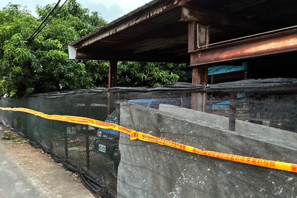 非洲豬瘟2輪防疫階段　陳大田：增設疫區圍網堵擴散 7