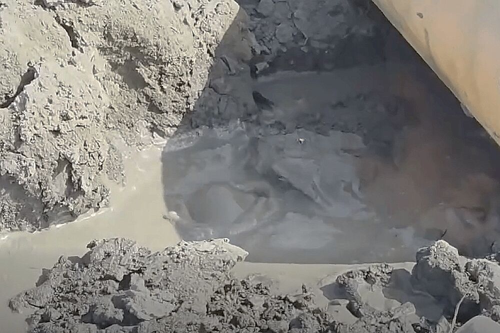 照片來源：江和樹臉書影片截圖