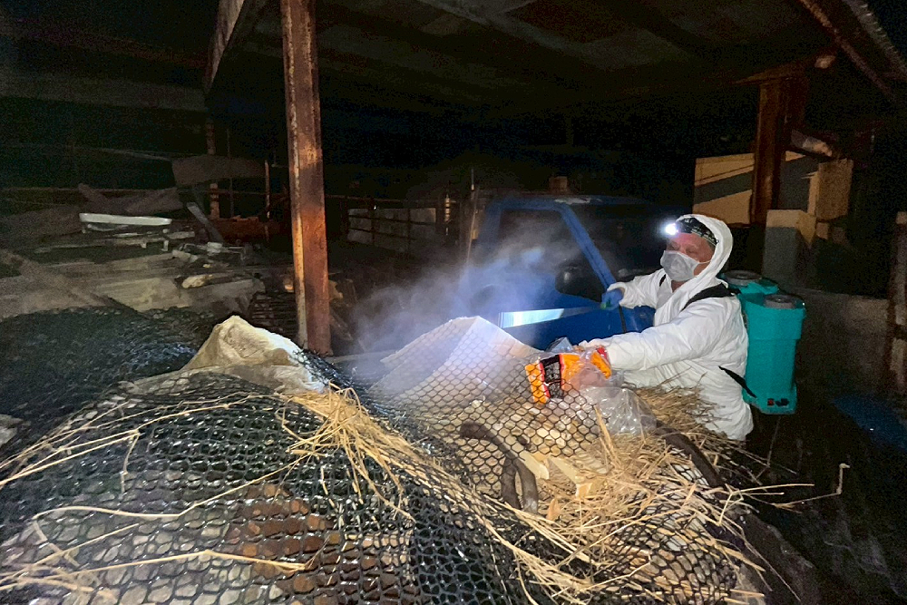 全面防堵非洲豬瘟　黃健豪：該負責就要負責 27