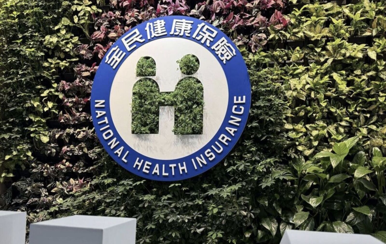 健保明年拿480萬人開刀! 利息股利「補充保費」改年度結算搶錢200億 14 健保明年拿480萬人開刀! 利息股利「補充保費」改年度結算搶錢200億 13