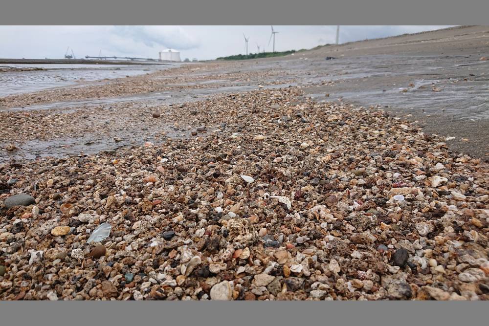 三接爆浮報百億　中油高層涉拉抬預算　法界：涉貪污治罪條例 7