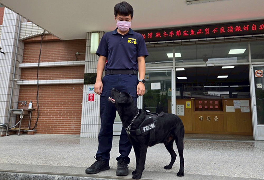 超萌緝毒犬立功 警破獲毒品大盤商搜索倉庫全靠牠 30 cnews204251113a08