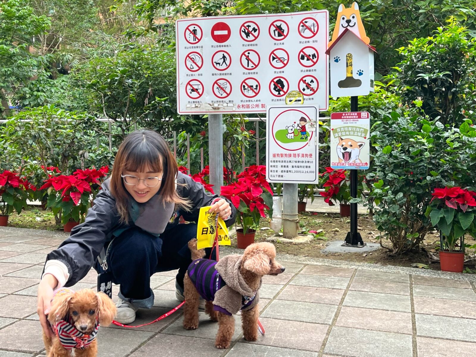 【有影】毛孩外出不麻煩！新北環保局設276座狗便（袋）箱　打造友善潔淨社區 7