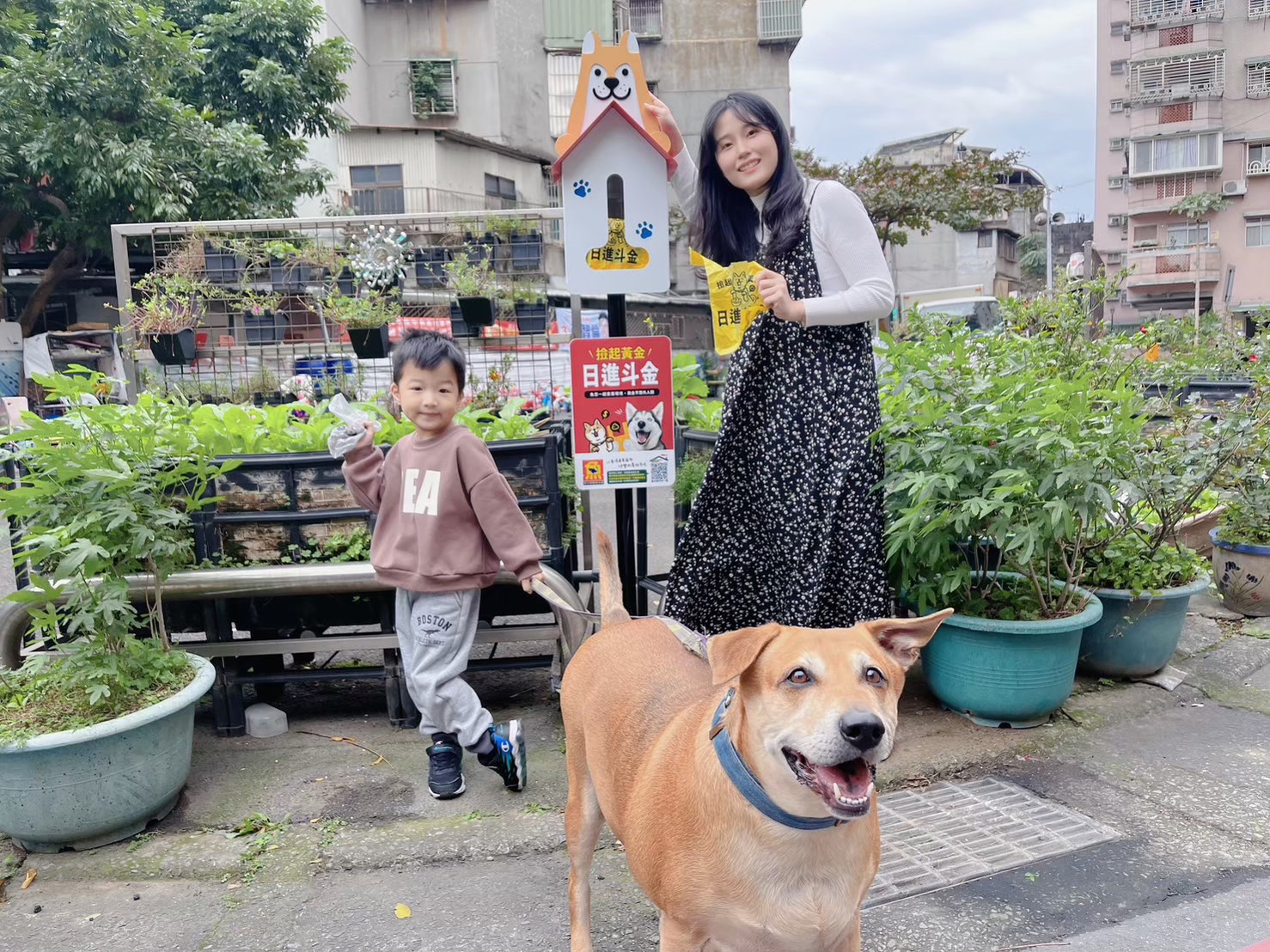 【有影】毛孩外出不麻煩！新北環保局設276座狗便（袋）箱　打造友善潔淨社區 5