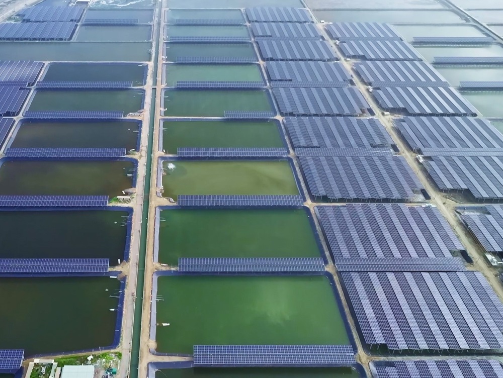 台灣綠電市場10度有3度來自它!綠能集體下殺,它卻獨霸 6 台灣綠電市場10度有3度來自它!綠能集體下殺,它卻獨霸 5