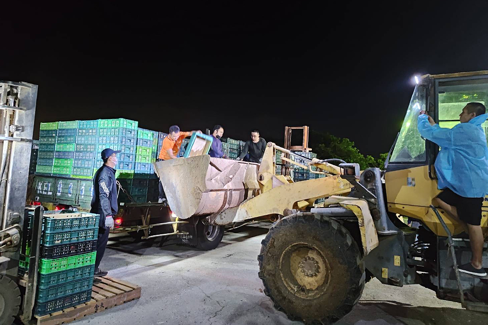 彰化25萬顆芬普尼蛋全數銷毀　龍品蛋行負責人20萬交保 3