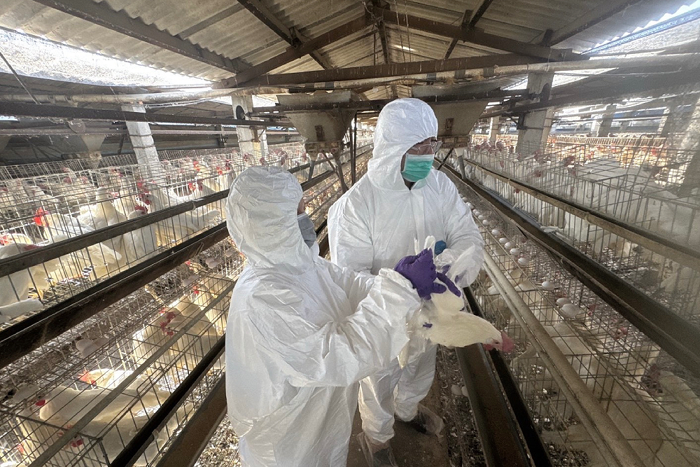 王惠美要求芬普尼全面採樣監測　彰化今採樣15場高風險蛋雞場 3