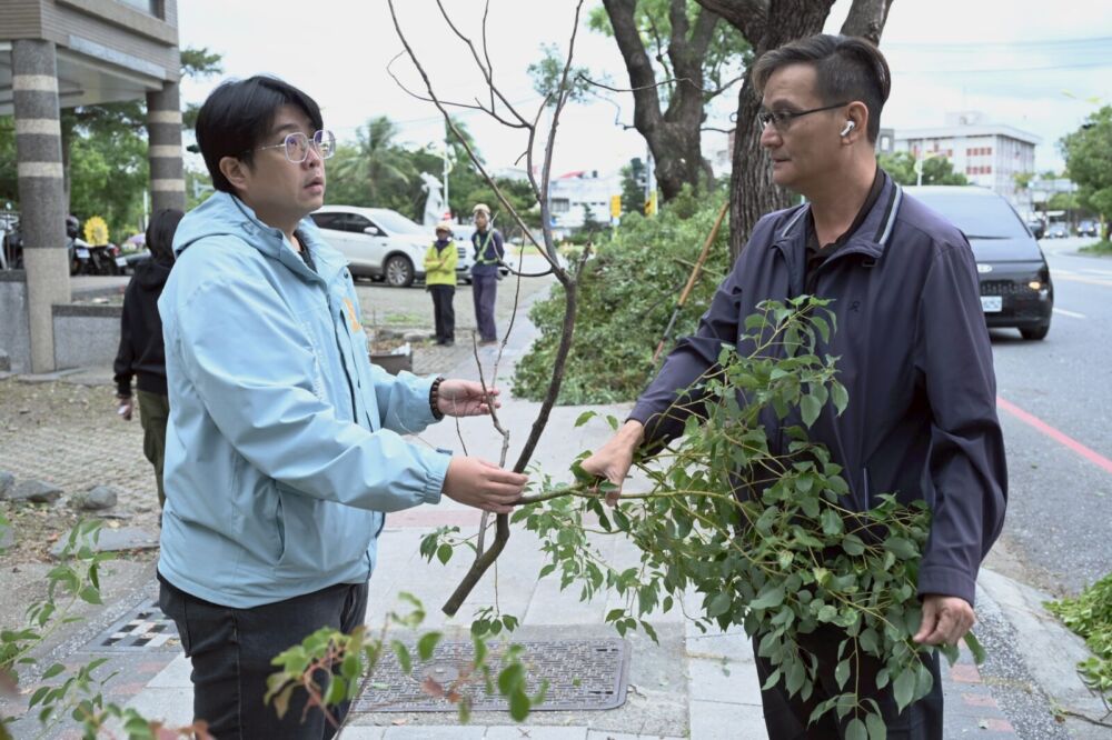 民眾反映府前路樟樹遭害蟲啃食枯萎　魏嘉彥派農觀課啟動防治 19