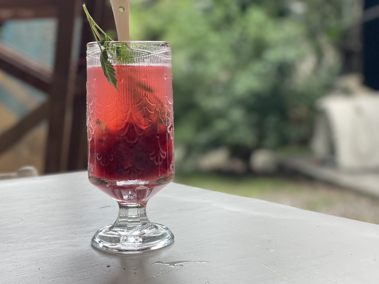 【Yinin Longstay專欄】大雪　冬季賞花／洛神花果醬、花茶  3