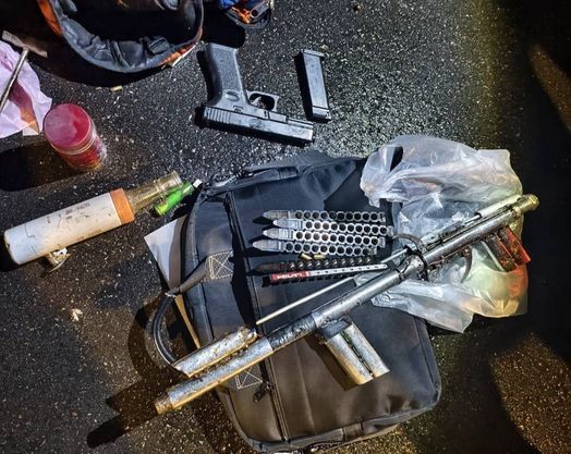 越南逃逸移工為4500元　宰貓剝皮再槍殺石虎 7