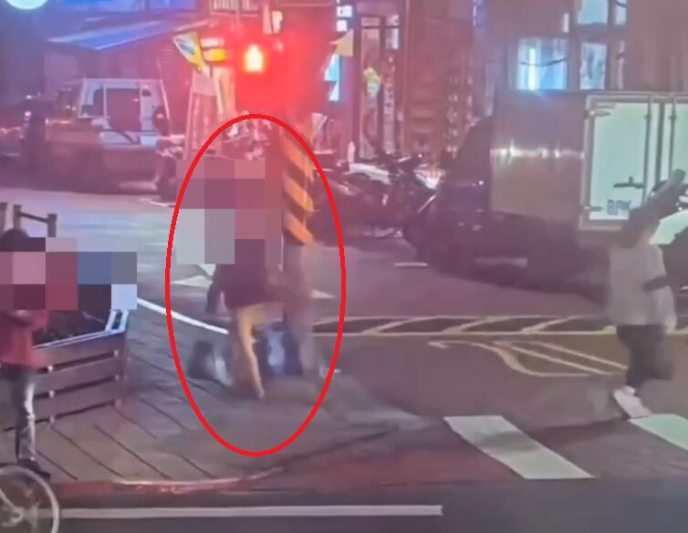 垃圾袋藏12具貓屍飄濃厚腐臭味　無業女責任全推前男友