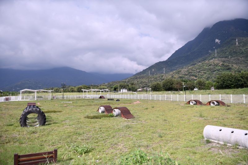 花蓮好寵毛小孩 專設狗貓躍動園區高規格收容 5